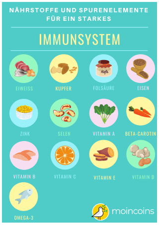 Nährstoffe und Spurenelemente für ein starkes Immunsystem Infographic
