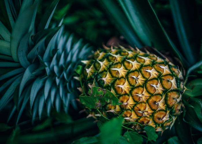 Pineapple with leaves