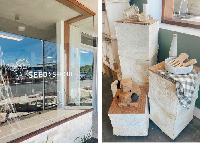 Seed and Sprout mycelium pop-up store