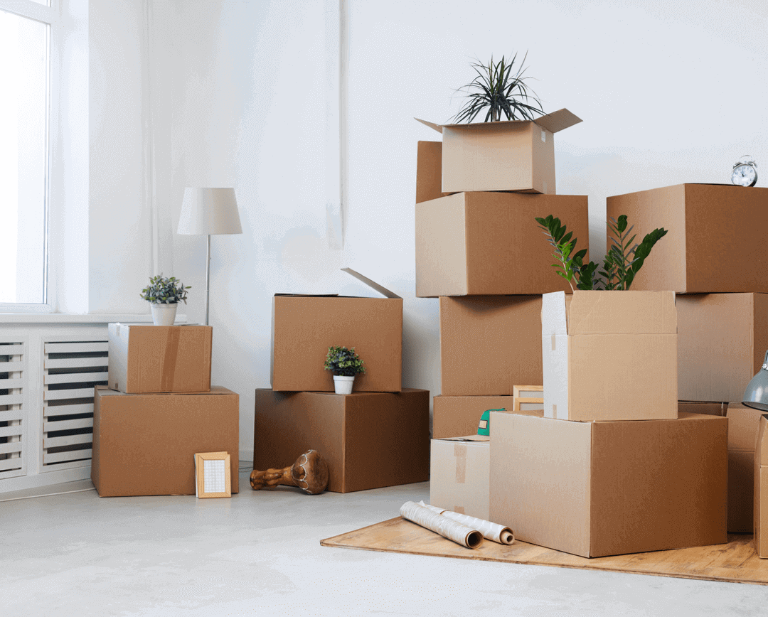 cardboard boxes stacked in an empty white room with plants