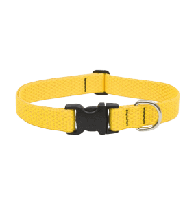 An eco-friendly dog collar from Ethical pets