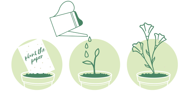 3 steps about how to plant paper into soil