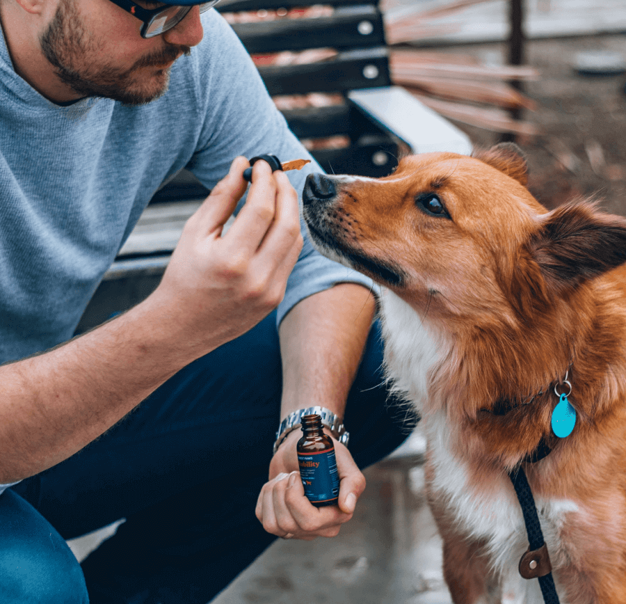 A man wearing eyeglasses gives his dog CBD oil