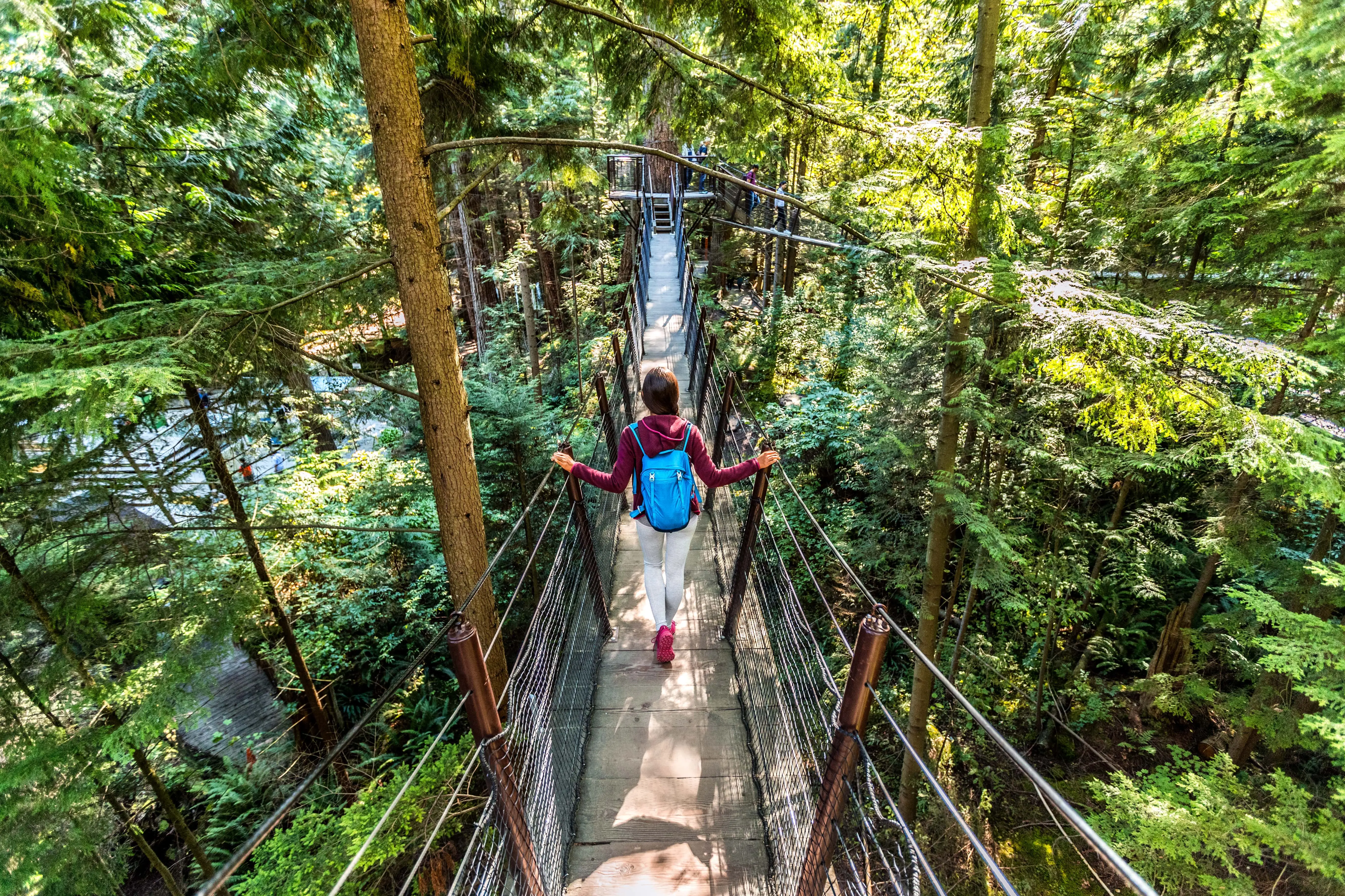 tourist woman walking on a bridge into the forest