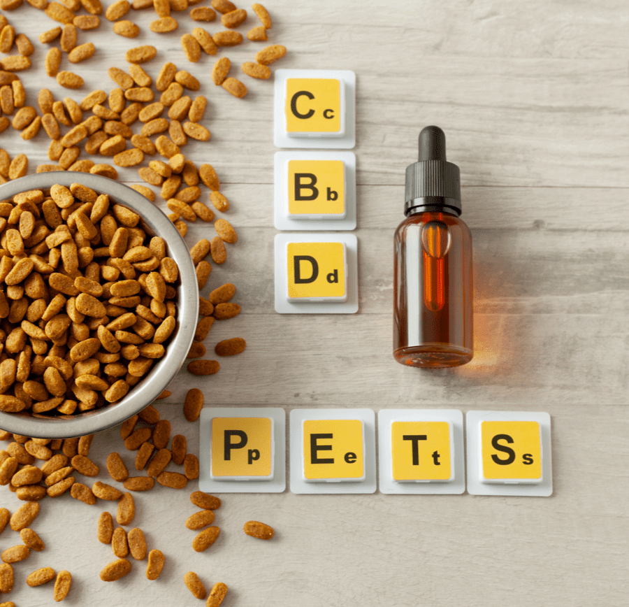 Pet food in an iron ball, a bottle of CBD oil and the word pets and CBD